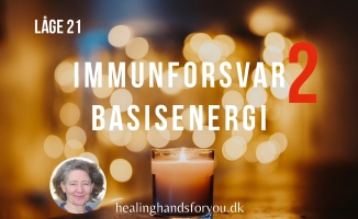 Read more about the article Immunforsvar, indre ro og fordøjelse