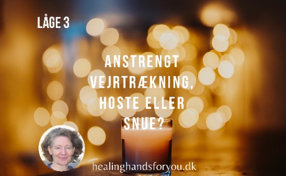 Read more about the article Anstrengt vejrtrækning, hoste og snue?