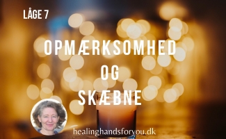 Read more about the article Opmærksomhed